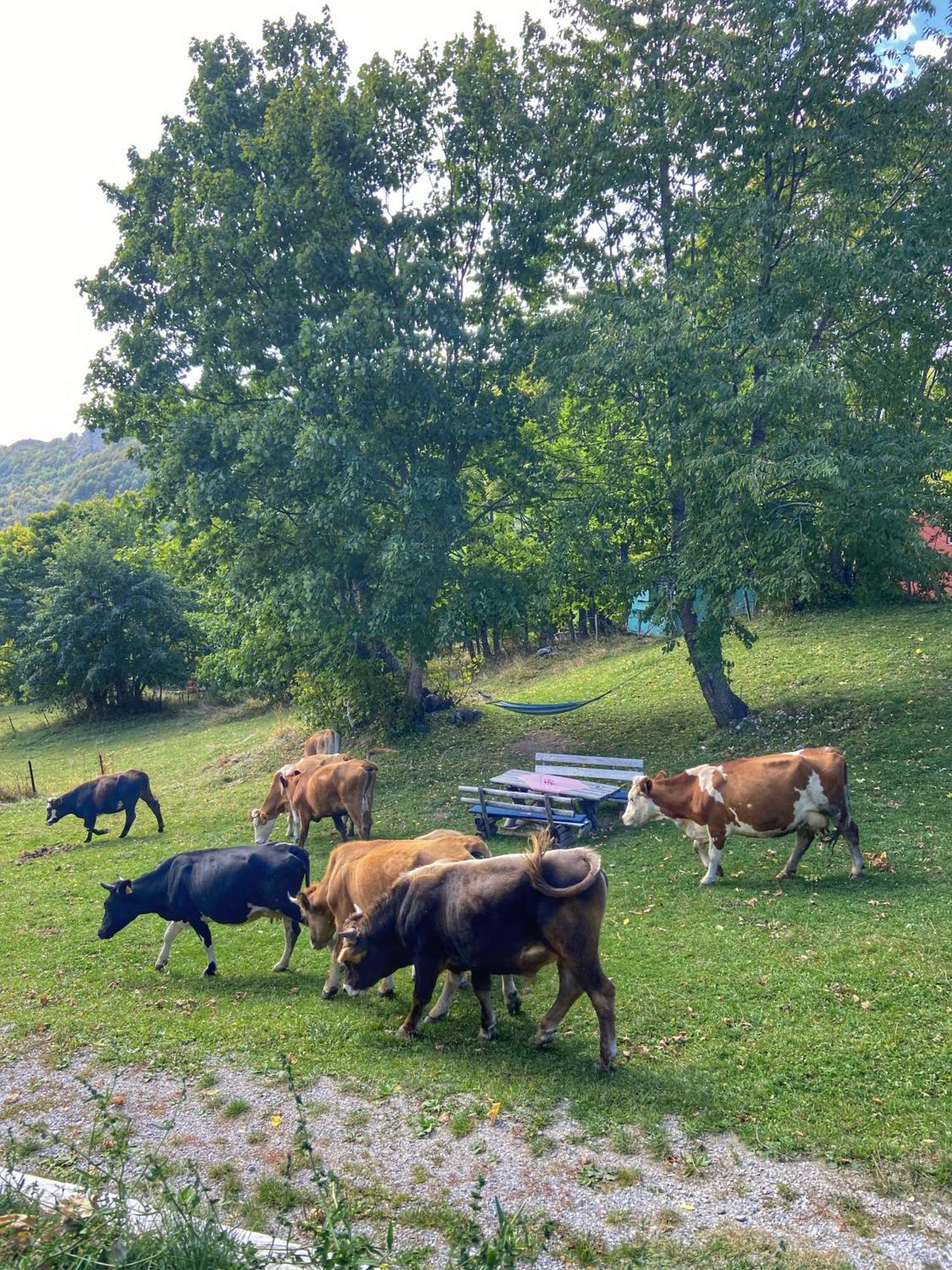 Konak Umoljani Buitenkant foto