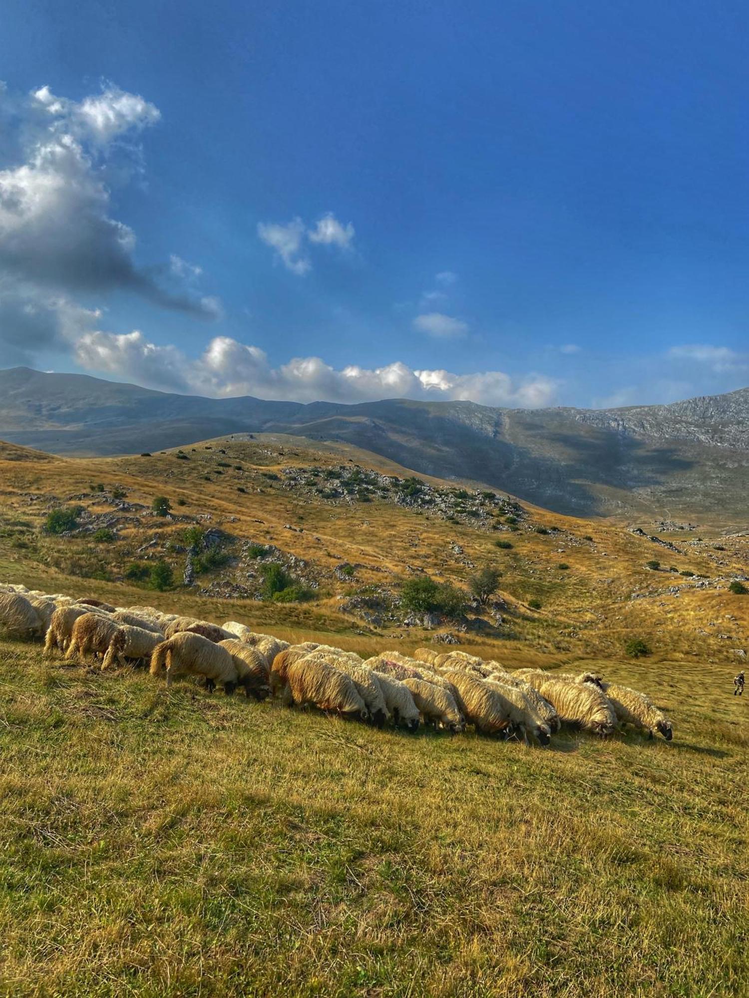 Konak Umoljani Buitenkant foto