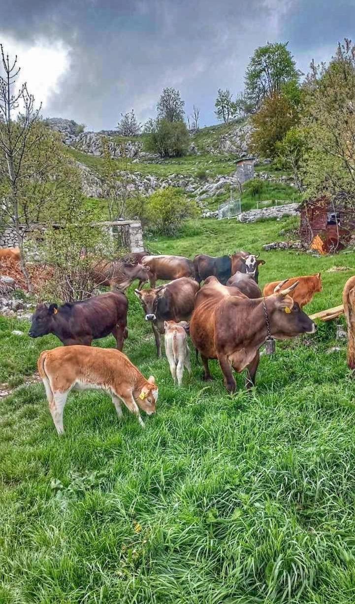 Konak Umoljani Buitenkant foto